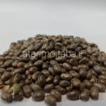 دانه بیدانجیل کرچک 180 گرمی