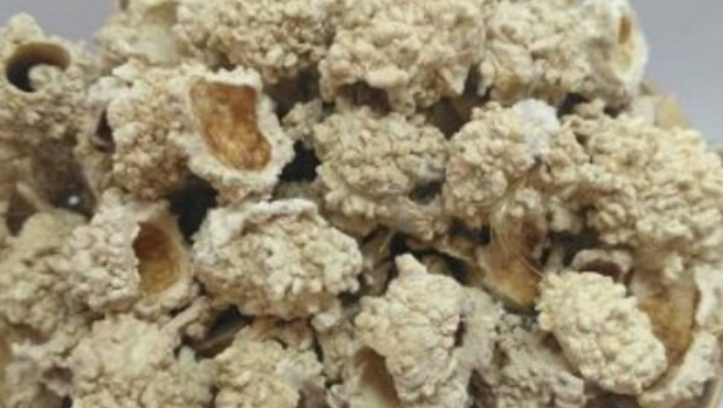 قیمت شکر تیغال | عطاری آنلاین مجتبی محقق