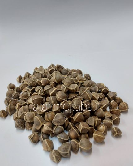 بذر مورینگا | عطاری آنلاین مجتبی محقق